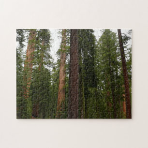 Quebra-cabeça Mariposa Grove no Parque Nacional de Yosemite