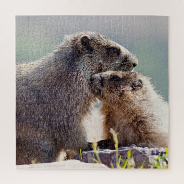 Quebra-cabeça Marmot Mãe com Bebê (Vertical)