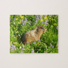 Quebra-cabeça Marmota em Flores Silvestres do Monte Rainier