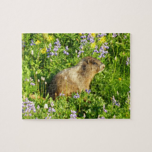 Quebra-cabeça Marmota em Flores Silvestres do Monte Rainier (Horizontal)