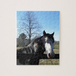 Quebra-cabeça Marrom &Branco, Cavalo Pintado, céu azul brilhante