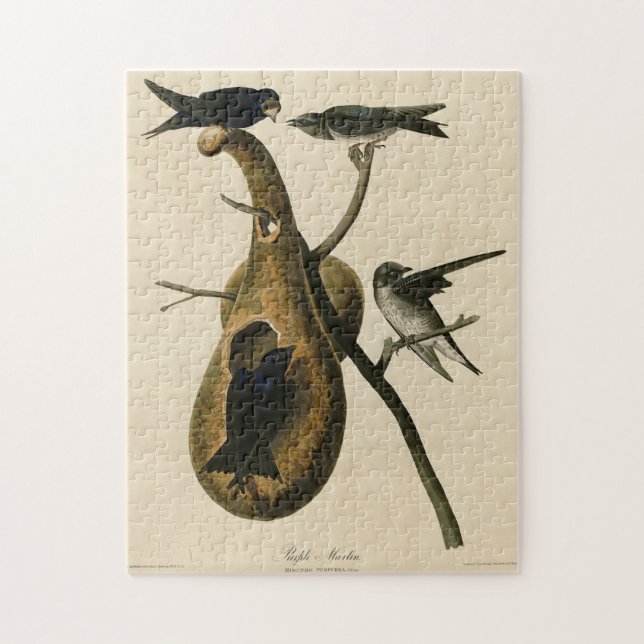 Quebra-cabeça Martin Roxo das Aves da América de Audubon (Vertical)