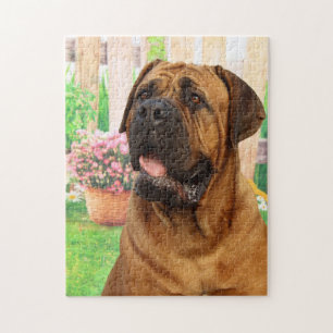Quebra-cabeça Mastiff do Bordéus