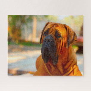 Quebra-cabeça Mastiff Dog.