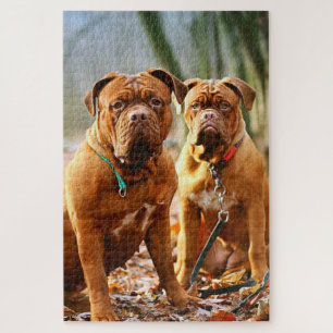 Quebra-cabeça Mastiff Plus