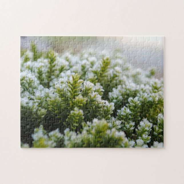 Quebra-cabeça Mata Verde Lindas Plantas de outono Congeladas Mac (Horizontal)