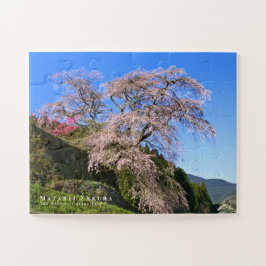 Quebra-cabeça Matabei-Zakura: Chorando árvore cerejeira