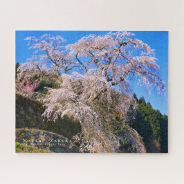 Quebra-cabeça Matabei-Zakura: Chorando árvore cerejeira