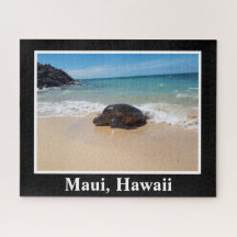 Maui Hawaii Sea Turtle Imagem Nature Ocean