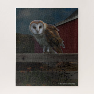 Quebra-cabeça "McHoots The Watch Owl"