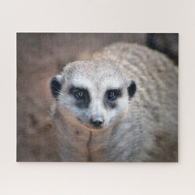Quebra-cabeça Meerkat (Horizontal)