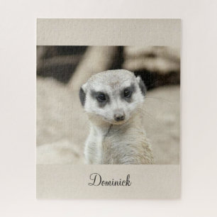 Quebra-cabeça Meerkat