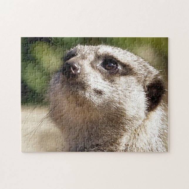 QUEBRA-CABEÇA MEERKAT (Horizontal)
