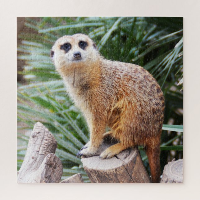 Quebra-cabeça Meerkat (Vertical)