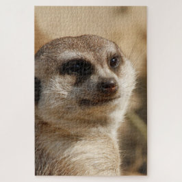 Quebra-cabeça Meerkat_010