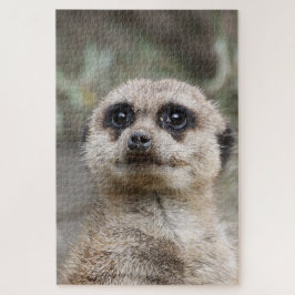 Quebra-cabeça Meerkat 021 por JAMFoto