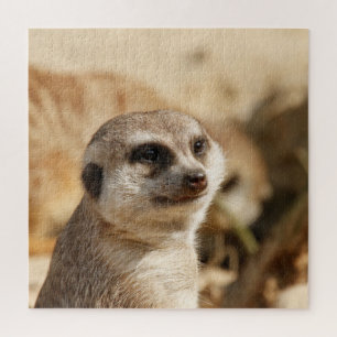 Quebra-cabeça Meerkat 052