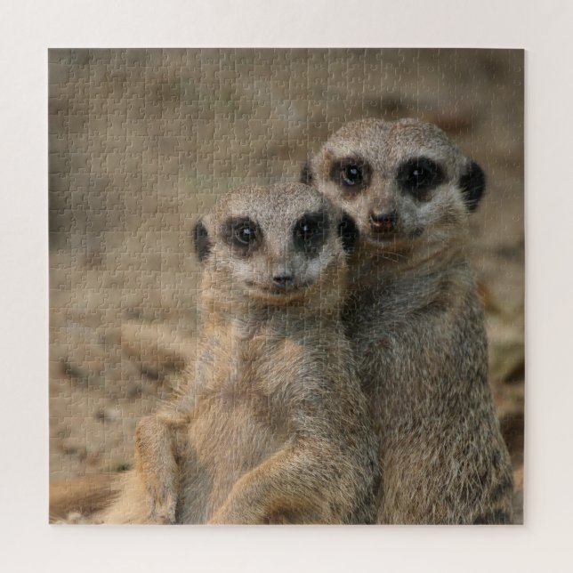 Quebra-cabeça Meerkat 067 (Vertical)