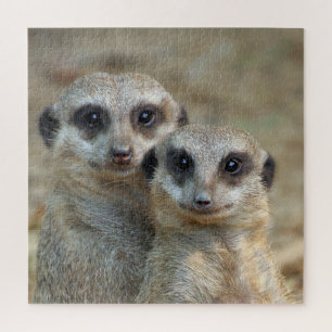 Quebra-cabeça Meerkat 085