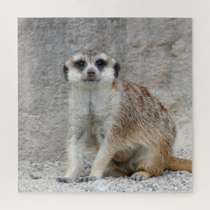 Quebra-cabeça Meerkat 134