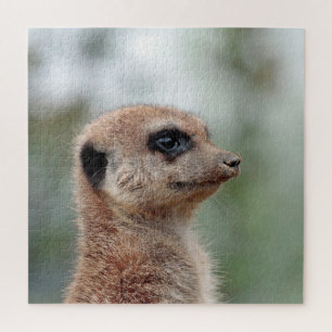 Quebra-cabeça Meerkat 180