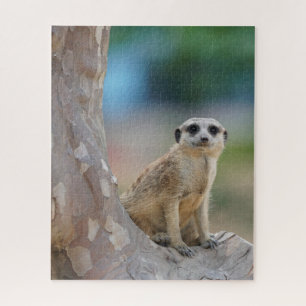 Quebra-cabeça Meerkat bonito na árvore