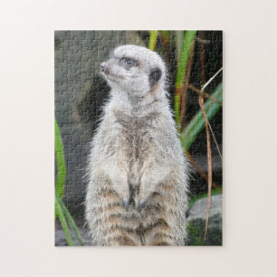 Quebra-cabeça Meerkat em Chamada