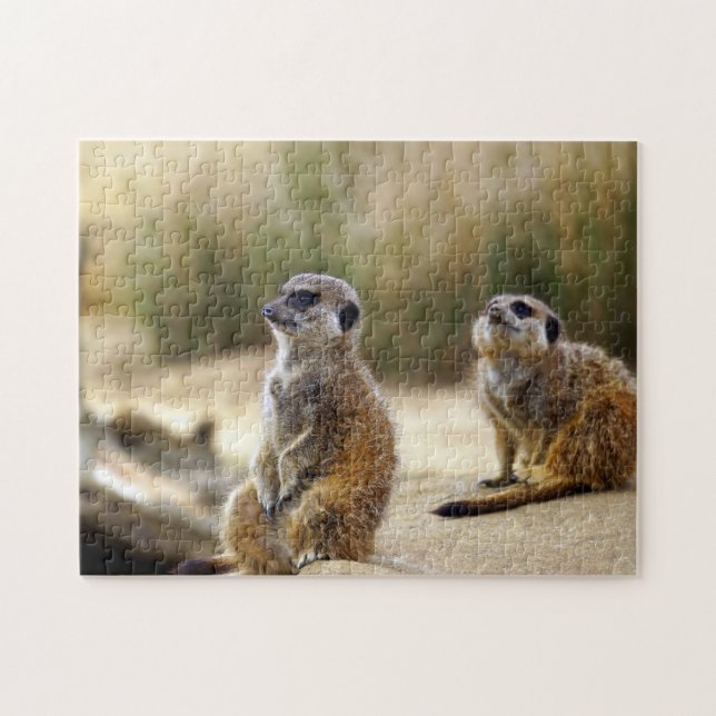 Quebra-cabeça Meerkats. (Horizontal)