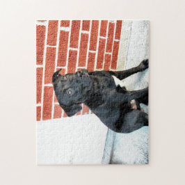 Quebra-cabeça Meia-noite Posando