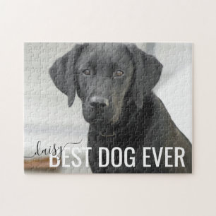 Quebra-cabeça Melhor Cachorro Já Personalizado Foto Pet