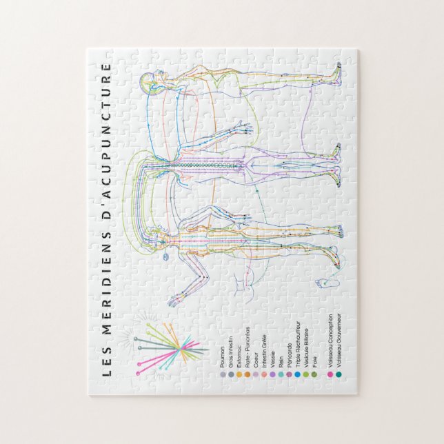 Quebra-cabeça Méridiens d'Acupuncture, médecine ch (Vertical)