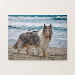 Quebra-cabeça Merle Collie na Praia