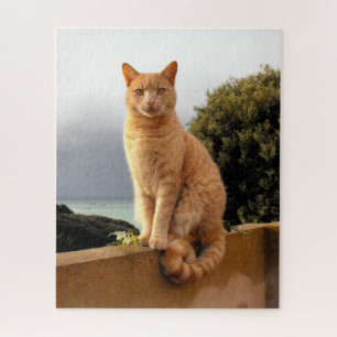 Quebra-cabeça Merlin o gato do gengibre