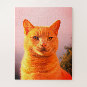 Quebra-cabeça Merlin, o gato gengibre