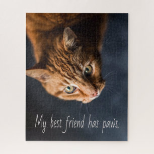 Quebra-cabeça Meu melhor amigo tem patas, Cat Kitten Cute