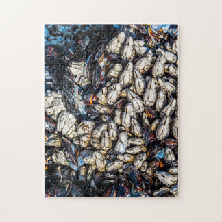 Quebra-cabeça Mexilhões e lagoas de Goseneck - Tofino, BC.