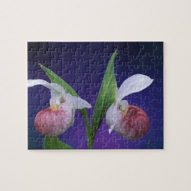 Quebra-cabeça Michigan, Parque Nacional da Península Bruce.Showy (Horizontal)