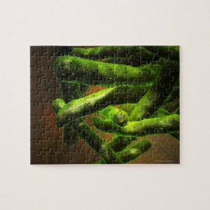 Quebra-cabeça Micobacteria Tuberculose