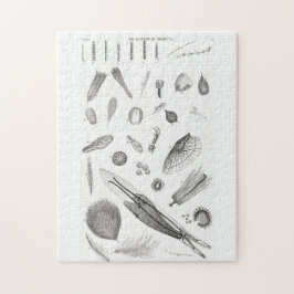 Quebra-cabeça Microbiologia Ciência B&W Magnificação Microscópic