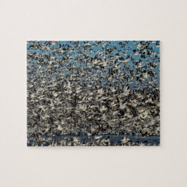 Quebra-cabeça Milhares de gansos de neve