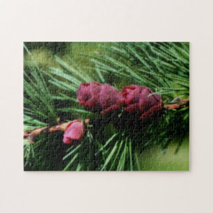 Quebra-cabeça Miniatura Bebê Pine Cones Efeito Orton