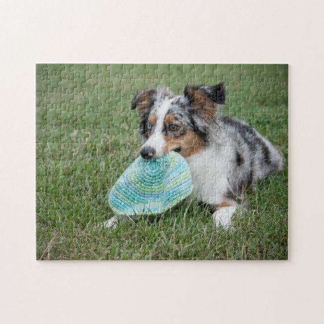 Quebra-cabeça Miniatura de Shepherd Blue Merle Americana com Bri (Horizontal)