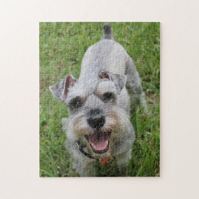 Quebra-cabeça Miniatura Schnauzer Sorrindo (Vertical)
