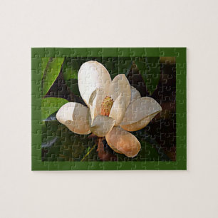 Quebra-cabeça Mississippi Magnolia