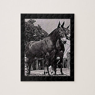 Quebra-cabeça Missouri Mule