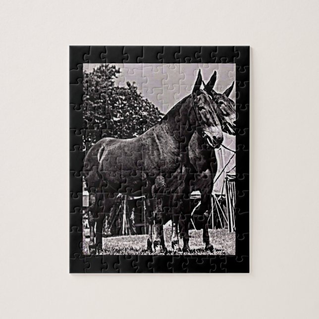 Quebra-cabeça Missouri Mule (Vertical)