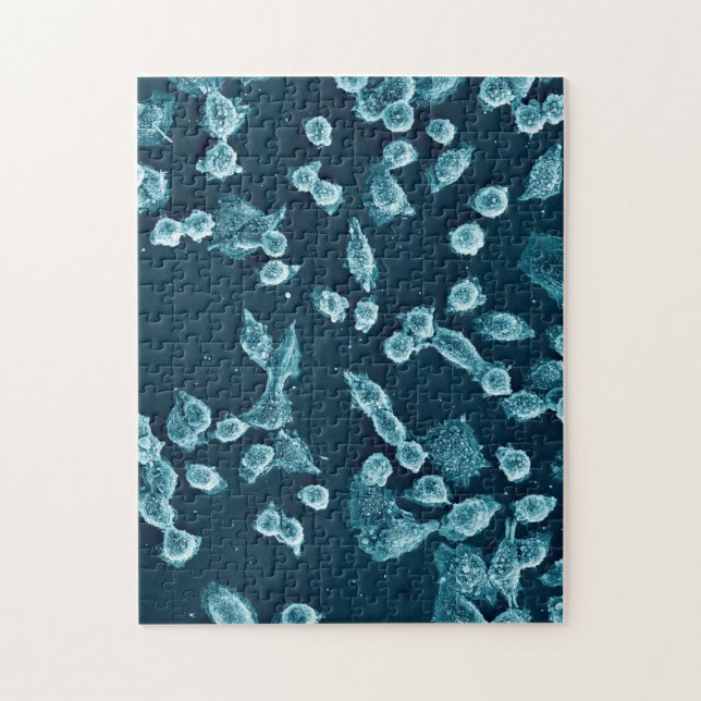 Quebra-cabeça mitotic Blebby da pilha (Vertical)