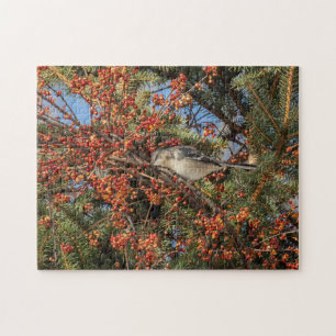 Quebra-cabeça Mockingbird E Virginia Creeper