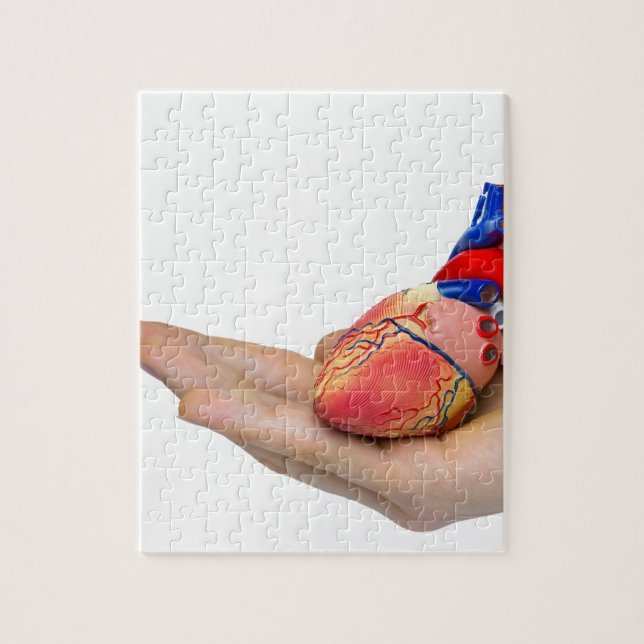 Quebra-cabeça Modelo humano artificial do coração na mão (Vertical)