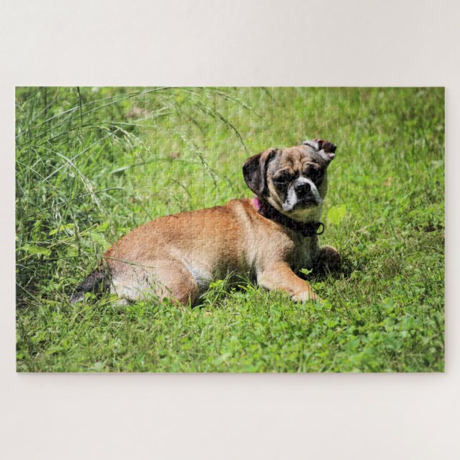 Quebra-cabeça Molly (Horizontal)